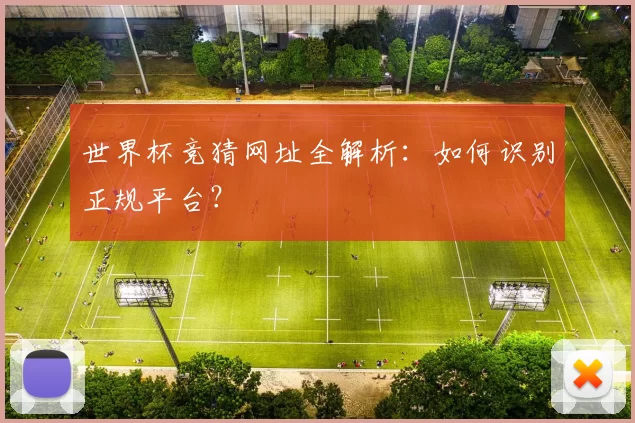 世界杯竞猜网址全解析：如何识别正规平台？