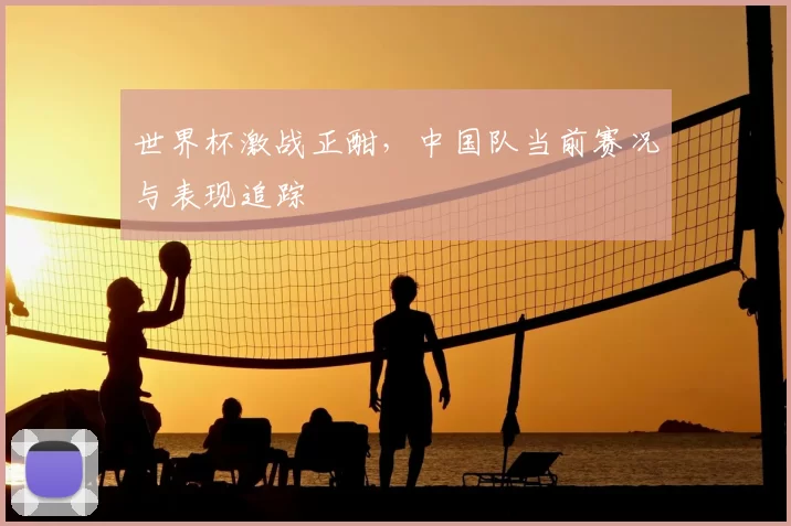 世界杯激战正酣,中国队当前赛况与表现追踪