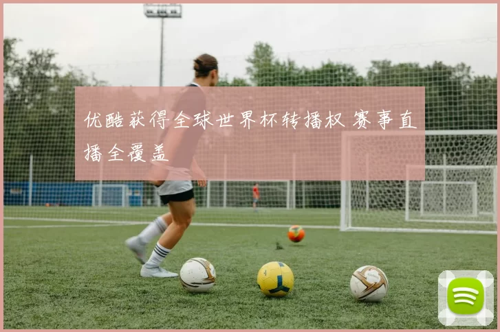优酷获得全球世界杯转播权 赛事直播全覆盖