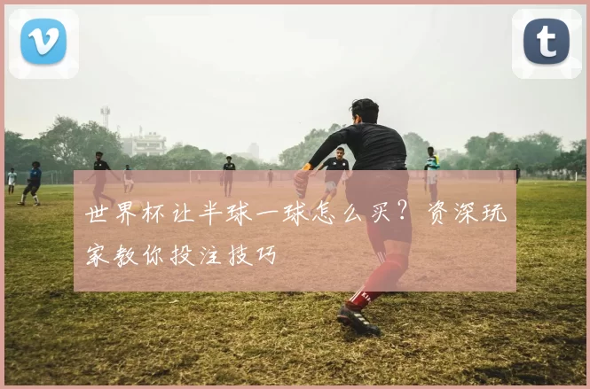 世界杯让半球一球怎么买？资深玩家教你投注技巧