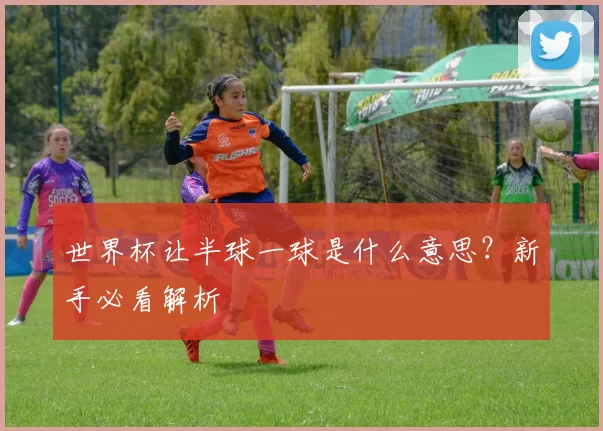 世界杯让半球一球是什么意思？新手必看解析