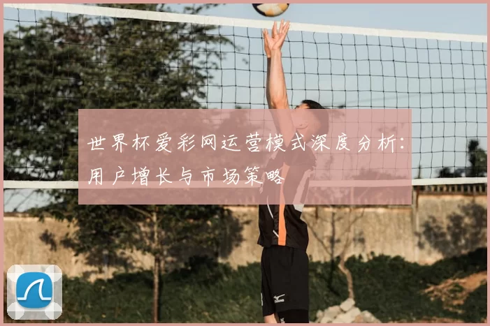 世界杯爱彩网运营模式深度分析：用户增长与市场策略