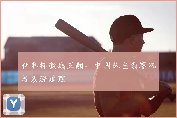 世界杯激战正酣,中国队当前赛况与表现追踪