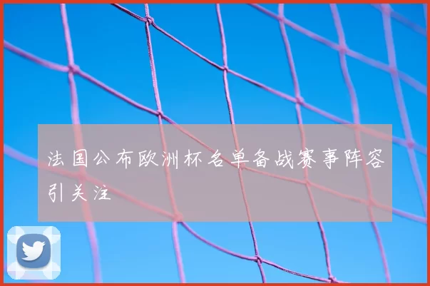法国公布欧洲杯名单备战赛事阵容引关注