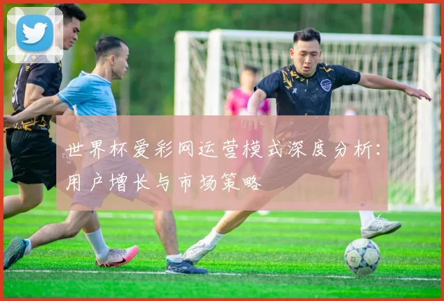 世界杯爱彩网运营模式深度分析：用户增长与市场策略