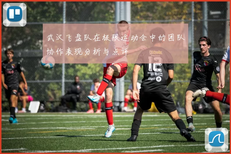 武汉飞盘队在极限运动会中的团队协作表现分析与点评