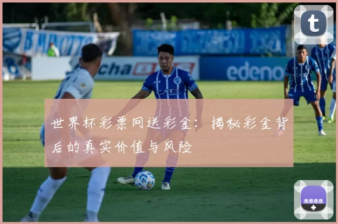 世界杯彩票网送彩金:揭秘彩金背后的真实价值与风险